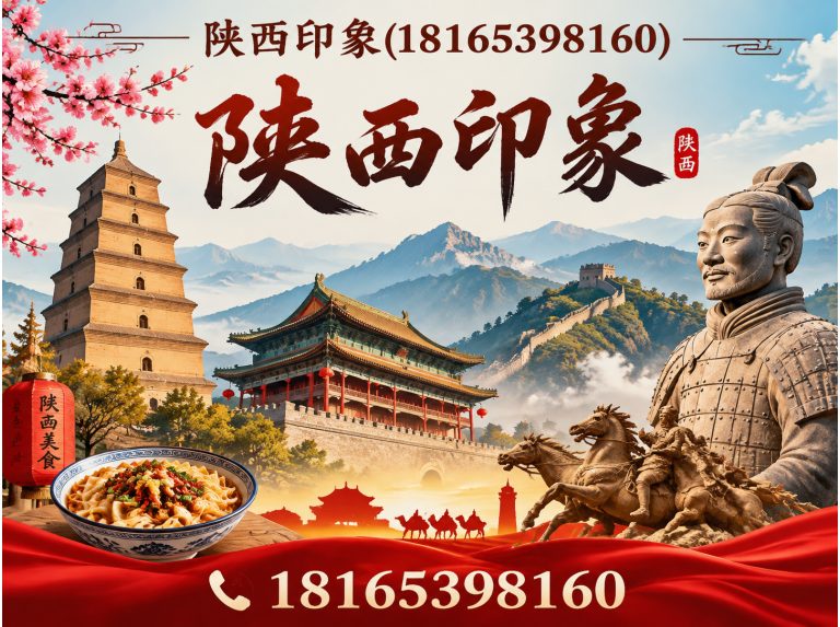 阎良区网络推广服务展示图
